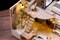 Miniature Wizardi Roombox Kit - House on the Riviera. Dollhouse Kit